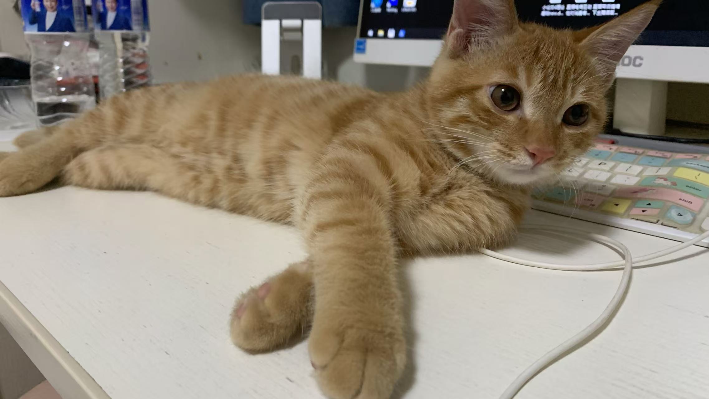 难逃就投入经济体软件